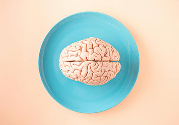 How To Look After Your Brain Health Properly